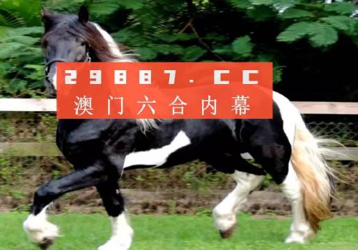 澳门和香港一肖一码资料_肖一码|词语释义解释落实